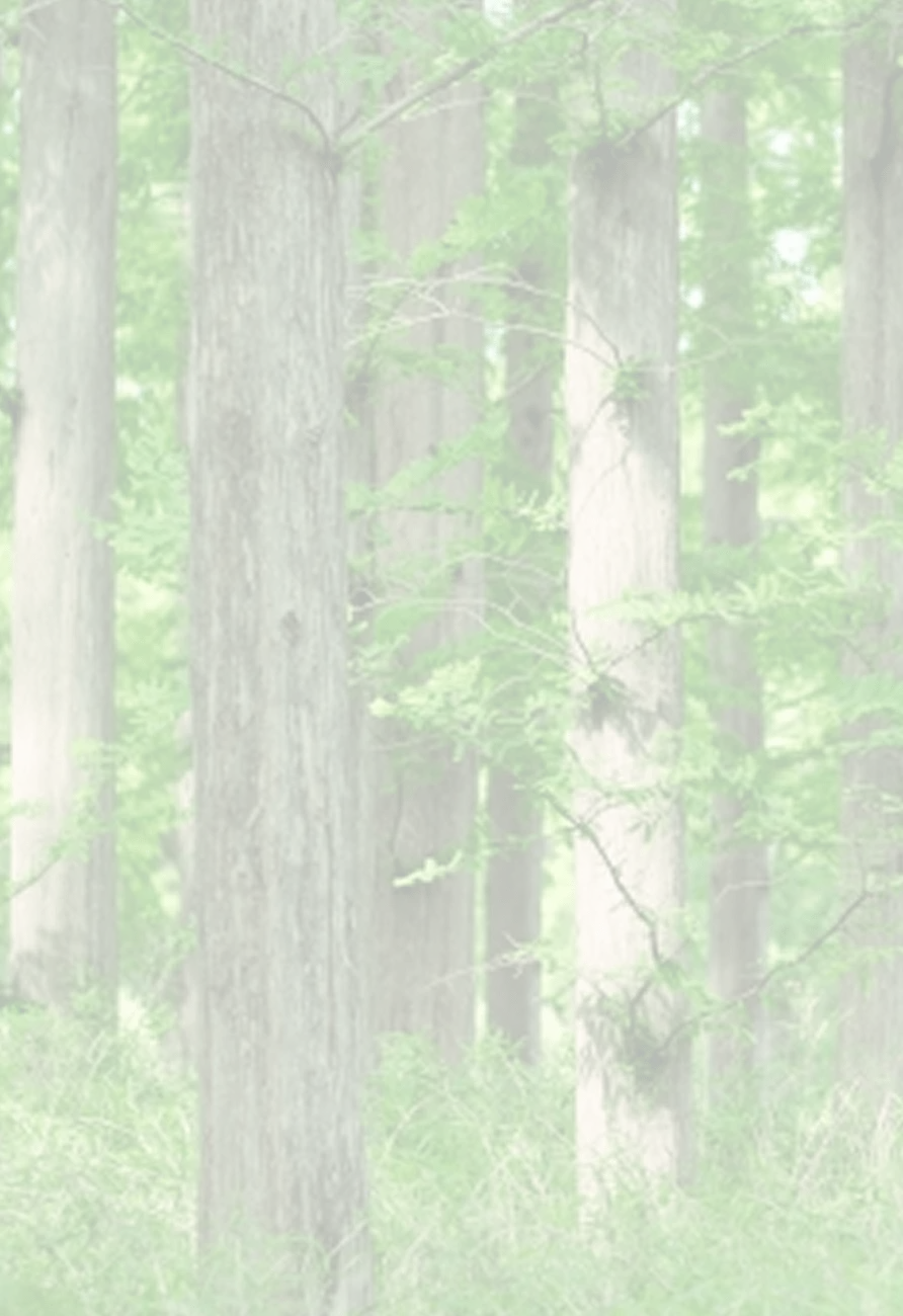 木材の背景画像