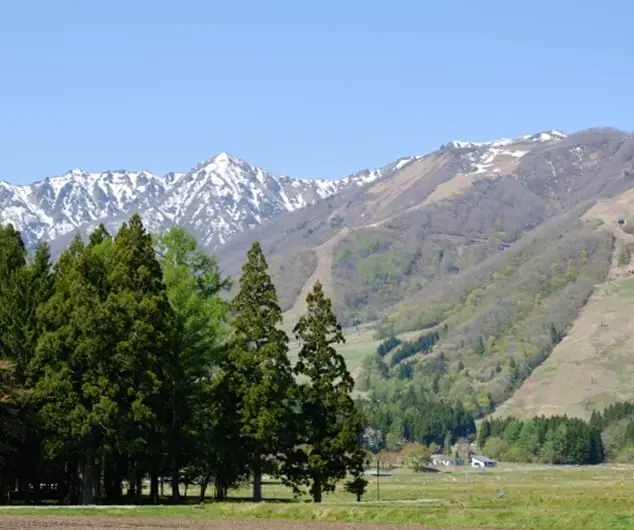 八ヶ岳連峰と緑の森が広がる高原の風景