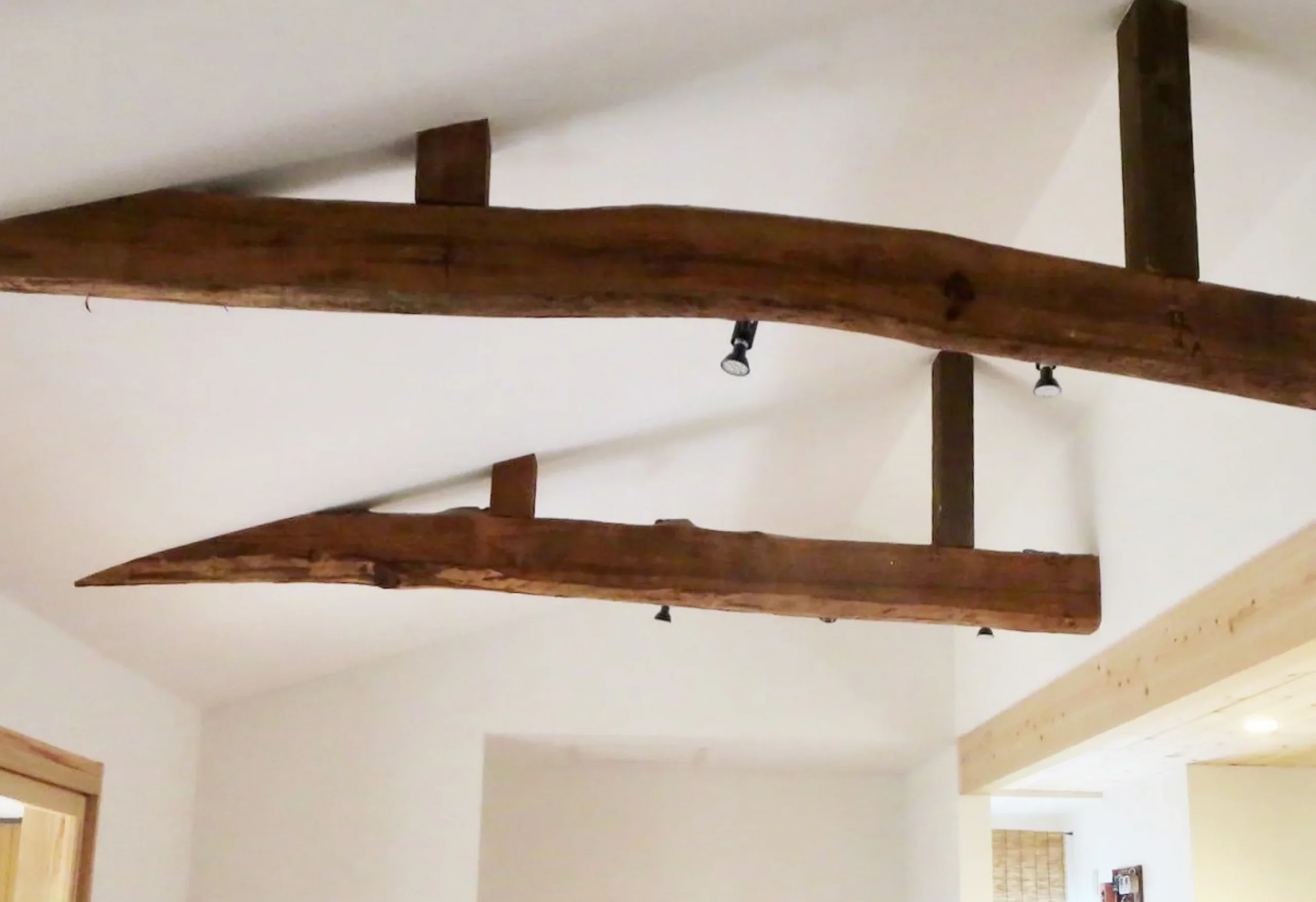 白い天井に太い木製の梁が渡された、木の温もりを感じる室内天井の様子